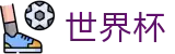 2026国际足联世界杯专区-洞悉绿茵风云